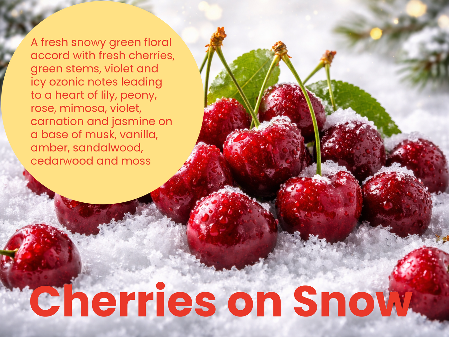 CHERRIES ON SNOW