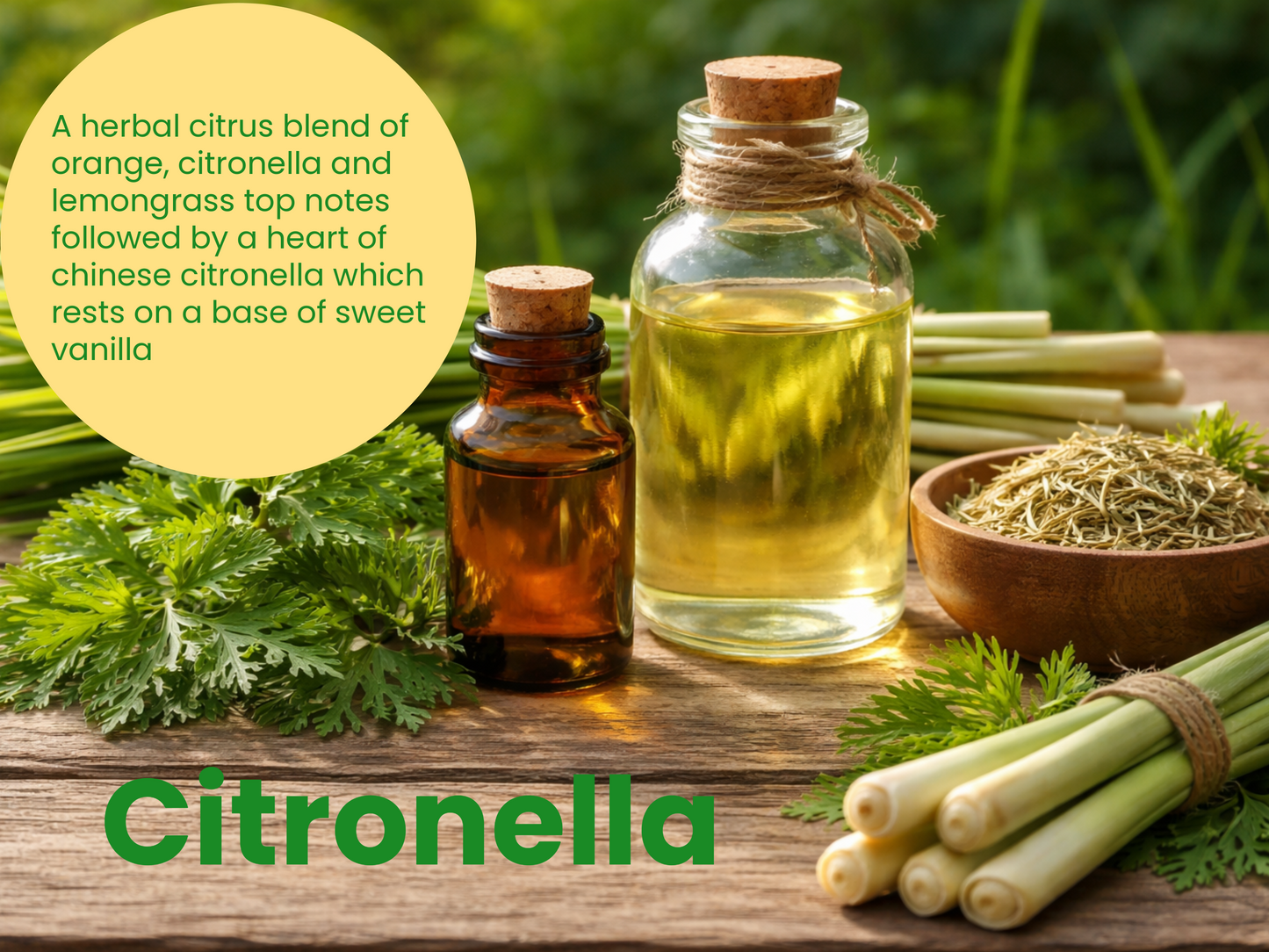CITRONELLA