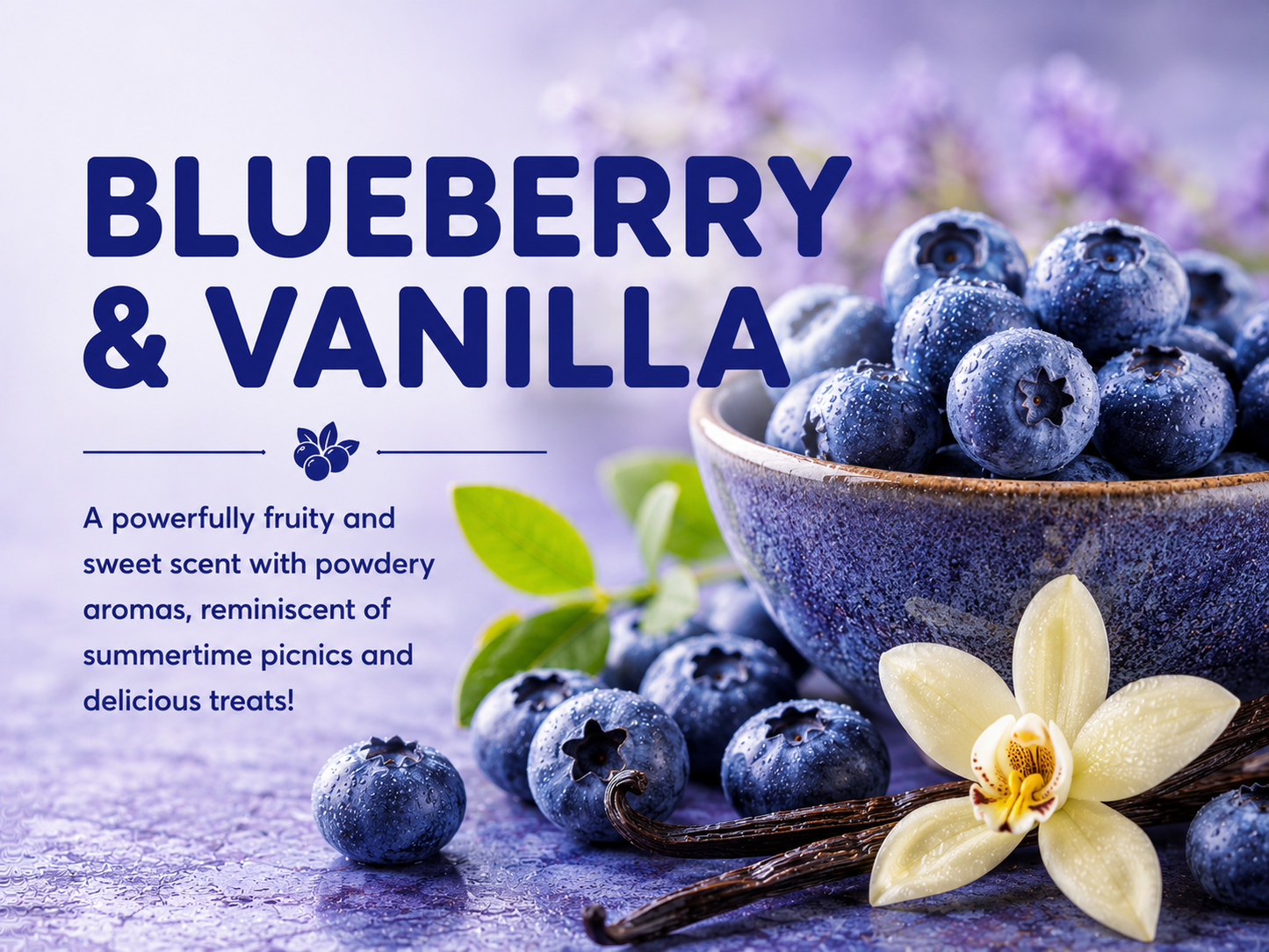 BLUEBERRY & VANILLA