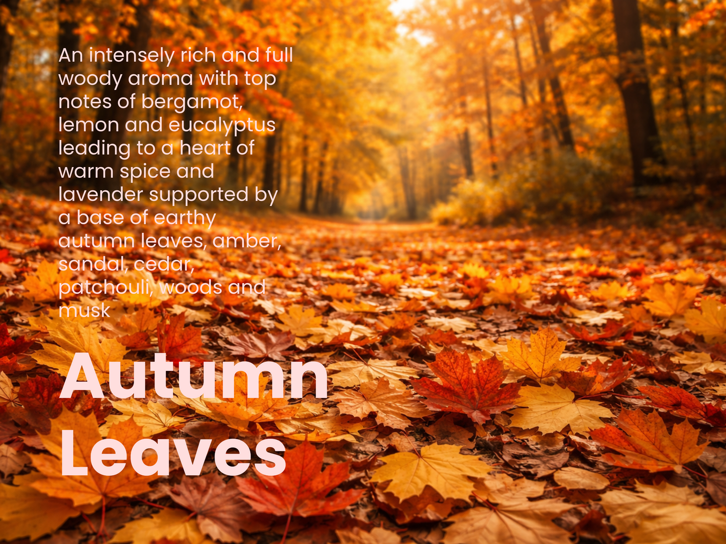 AUTUMN LEAVES