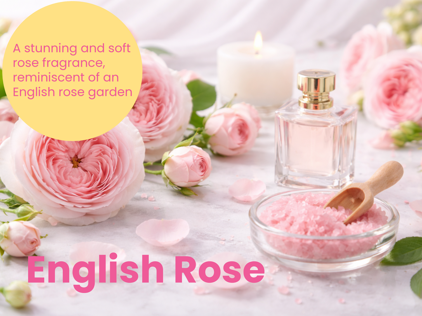 ENGLISH ROSE